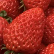 ちーの画像