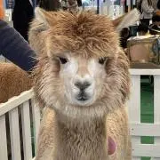 まるの画像