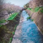 お侍。