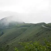 風来坊