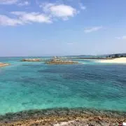 tocco[即購入は取引メッセージ要]の画像