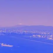 pom ※プロフ必読、グッズ整理中の画像