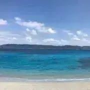 Y ⭐︎発送は2〜3日後の予定です⭐︎の画像