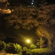 suの画像