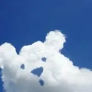 しろくま