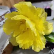 仕事は楽しいかね？の画像