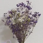 sの画像