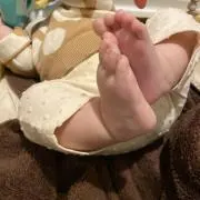 柚と夏の画像
