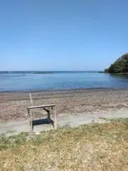 なる
