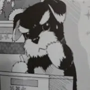 ムート0316の画像
