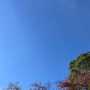 空