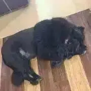 ...zzZ