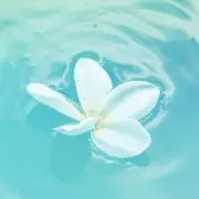 ララ☆断捨離中☆