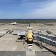 たらおの画像