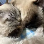 なぎちゃん