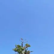 YuuDの画像