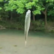 ゆきりん