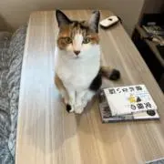 calisiro910の画像