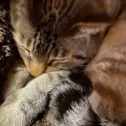 ひろみん