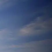 ゆーきの画像