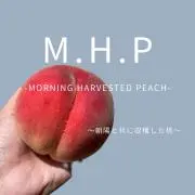 M.H.P