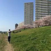 こむすびまんの画像