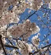 さとの画像