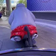 さくらの画像
