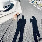 ck