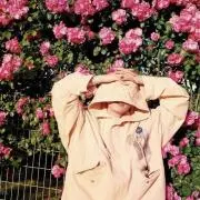 COCOの画像
