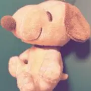 173】希少！アイカツ 直筆サイン色紙 当選品 スターアニス - メルカリ