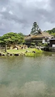 amuの画像