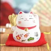 ♢﻿コメット♢﻿発送は4日以降の画像