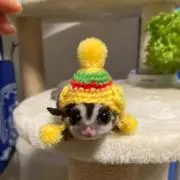 まなおの画像