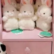 ୨୧の画像