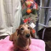 Atの画像