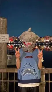ちゃの画像