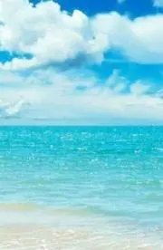常夏モアイの画像