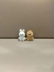 ぽんの画像