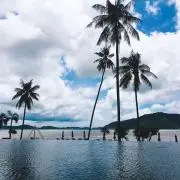 アリィ