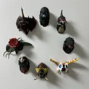 Kicoの画像