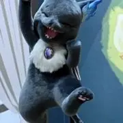 ぴょんの画像