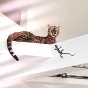 みっつの画像