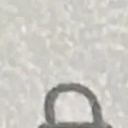 うさぎの画像