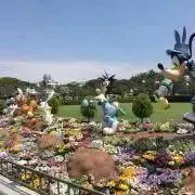 みみ　5月3日から6日お休みの画像