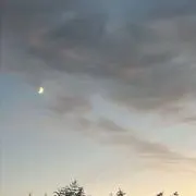 ウの画像