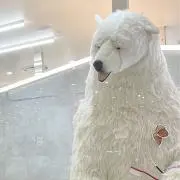ひーちゃんの画像