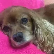 リキホク【プロフ観て下さい】の画像