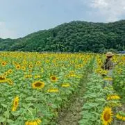 ジェフの画像