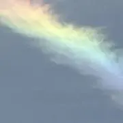 虹色の画像